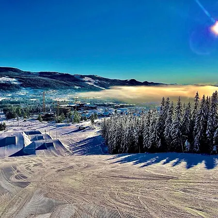 Holiday home Cosy And Sunny Mountain Cabin In Turistsenteret, Trysil
